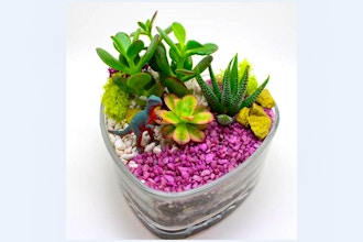 Plant Nite: Succulents in Heart Shaped Glass